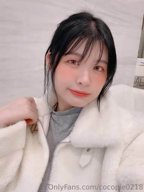 cocopie content #21005771